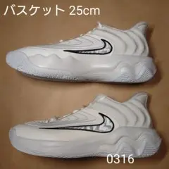 バスケット 25cm ナイキ ヤニス イモータリティ 4 EP
