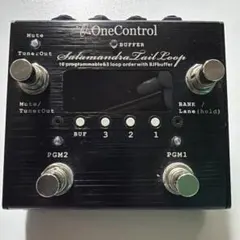 ToneWoodAmp 初代 本体のみ 動作品 X-Brace欠品 - メルカリ