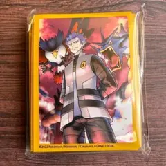 ぽけっと様 リクエスト 2点 まとめ商品