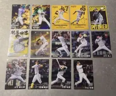 プロ野球チップス 阪神タイガース 開幕戦 スターカード タイトルホルダー 匿名
