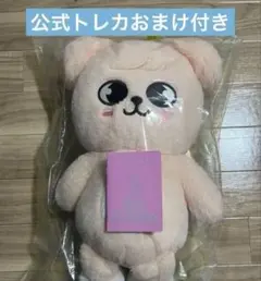 straykids SKZOO パピーム テディ テディベアpuppym ぬい - メルカリ