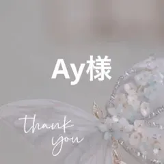 Ay様 リクエスト 8点 まとめ商品