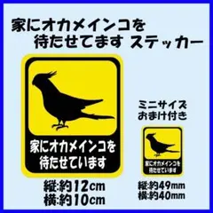 「家にオカメインコを待たせてます」ステッカー ドライブサイン おまけ付きのサムネイル