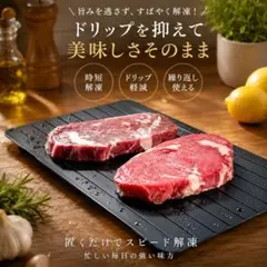 置くだけ！旨みそのままスピード解凍　解凍プレート　Mのサムネイル