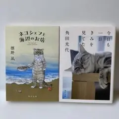 セット 文学・小説