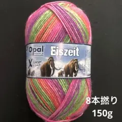 NEW オパール毛糸　アイスエイジ　8本撚り　150g 11570 壁画