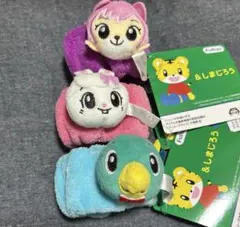 【3種セット】しまじろう お顔がひょっこり吸水リストバンド