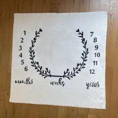 マンスリーフォトシーツ　フリースブランケット　ベビーフォト