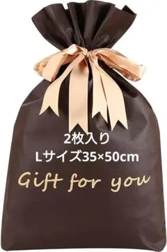 ラッピング 袋 バレンタイン 大(L) 2枚 リボン付きのギフト袋 ラッピング