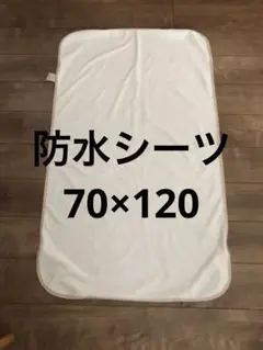 Item thumbnail for item 7163aa92-ac0f-48c1-b2a9-ff813431627a