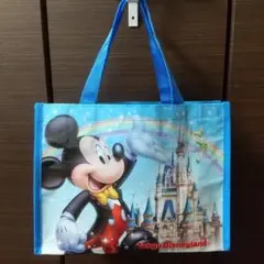 ディズニー ビニールミニバッグ ファスナー付き ミッキー ミニー