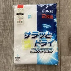 グンゼ ２枚組　メンズ半袖シャツ Mサイズ　U首タイプ 鹿の子編み