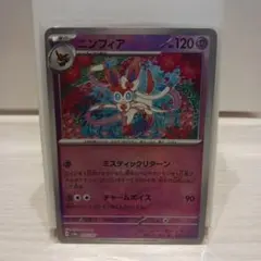 テラスタルフェス