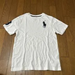 POLO RALPH LAUREN ホワイト Tシャツ M (10-12)