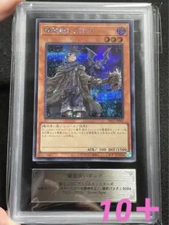 遊戯王 PSA10  霊使い シークレットレア スターチップ 絵違い コンプ 遊戯王 PSA10 霊使い シークレットレア スターチップ 絵違い