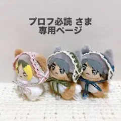 プロフ必読 さま専用ページ
