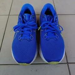 アシックス ランニングシューズ GEL-KAYANO 30　WIDE