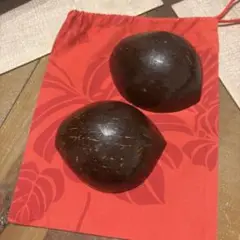 ココナッツ‼️楽器‼️美品 Hula Hawaii‼️プニウ