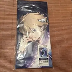 ヒュース タペストリー