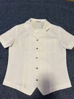 Item thumbnail for item 5c79a8b5-d7fc-405c-9c9d-6c37f6da9b9f