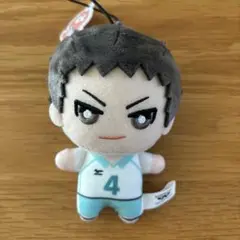 ハイキュー‼︎ 岩泉一　ぬいぐるみ