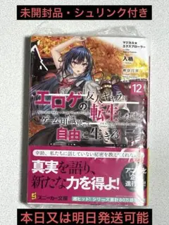 マジカルエクスプローラー 12 未開封品