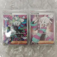 ホミカの演奏 SAR とSRセット