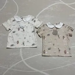 Cottoli 半袖Tシャツ 襟付き 動物柄 うさぎ くま2枚セット 双子 90