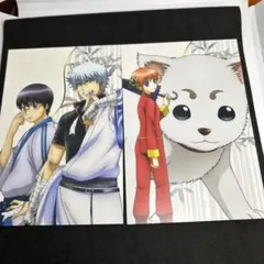 銀魂 坂田銀時 志村新八 神楽 定春 万事屋 ポストカードセット 一番くじ