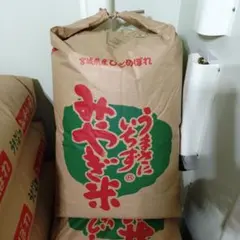 令和7年 岡山県産 きぬむすめ 玄米 30キロ 岡山県産 冷蔵庫保管 - メルカリ