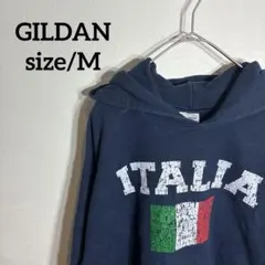 GILDAN イタリア国旗デザイン パーカー スウェット