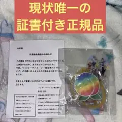 【盗難品への注意喚起】カラフルピーチ　サマーランド　当選品　購入可 盗難品への注意喚起】カラフルピーチ サマーランド 当選品 購入可
