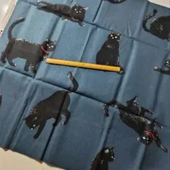 ハギレ　小生意気猫