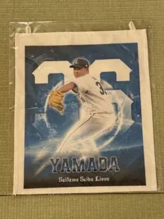 埼玉西武ライオンズ 山田陽翔 ファブリックポスター