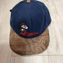 ディズニー40YEARS OF ADVENTURESのサムネイル