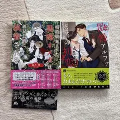 ＢＬ文庫 ２冊セット