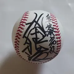 村上宗隆 直筆サイン入り試合球 サインボール NPB 統一球 - メルカリ