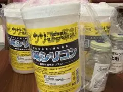 冬扇シオン コート種子6000粒3袋セット サカタのタネ - メルカリ