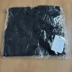 Item thumbnail for item 7d12a2bf-9d83-4b70-85b1-2b5347fa66df