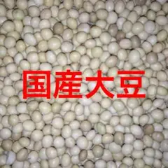 国産大豆　約１ｋｇ　内容量９７０ｇ　味噌作り ソイプロテインにどうぞのサムネイル