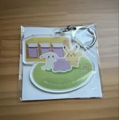 ぽこあポケモン×IKEA アクリルキーホルダー 【非売品】 - メルカリ