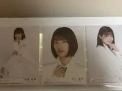 Item thumbnail for item 7aabf472-d849-4268-bd04-ff178d23f502