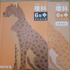 ikrisu様 リクエスト 2点 まとめ商品