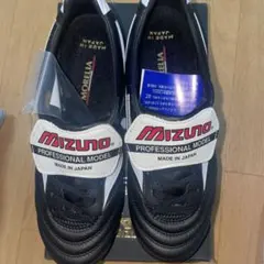 モレリア2 取り替え式