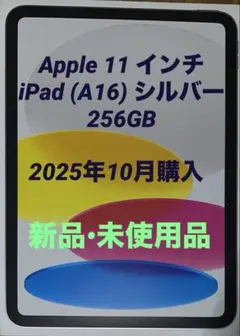 iPad Wi-Fiモデル 256GB - シルバー　MD4G4J/A