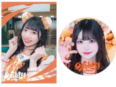 iLife 小熊まむ クリアカード 缶バッジ セット