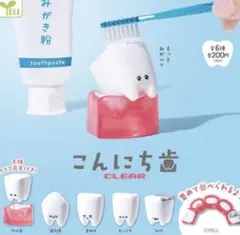 こんにち歯 CLEAR ５種類　新品