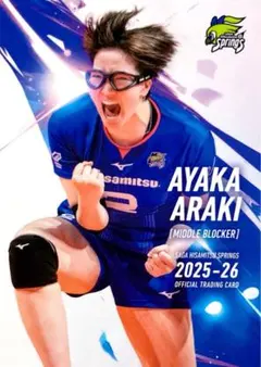 Item thumbnail for item a1d2f340-7c3d-4280-bdc2-68dcf7c863de