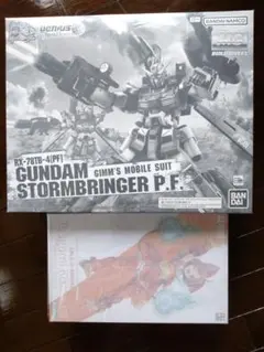 mg ガンダム ストームブリンガー コトブキヤ　コザクラツグミ　セット ガンダムビルドダイバーズ Genius Head Line」より「MG 1/100 ガンダム