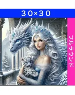 ダイヤモンドアートキットN-1111ドラゴンと女王 ビーズ アート ハンドメイド